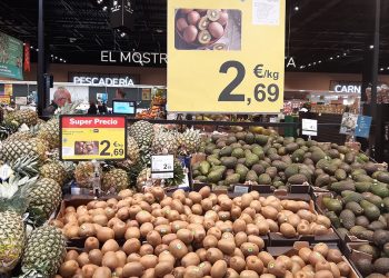 Kiwi origen España-Carrefour