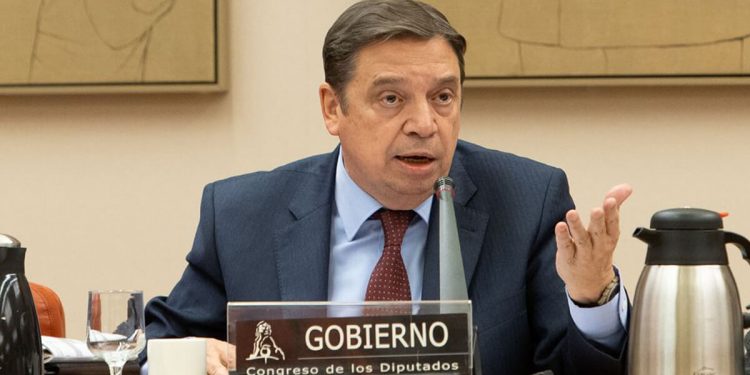 Planas-Congreso Diputados