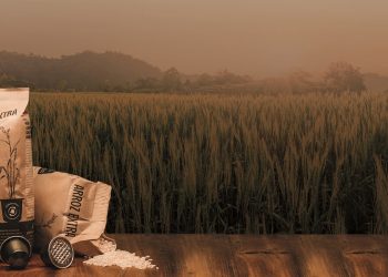 Arroz Solidario Nespresso