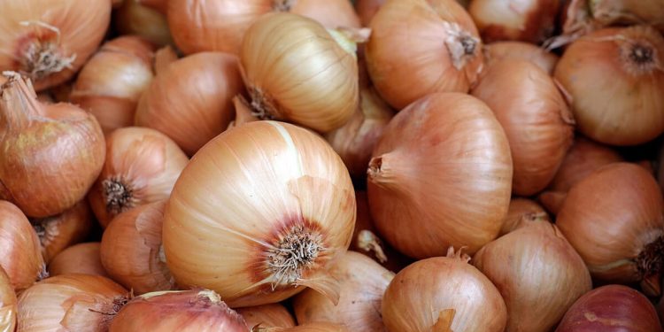 Cebolla