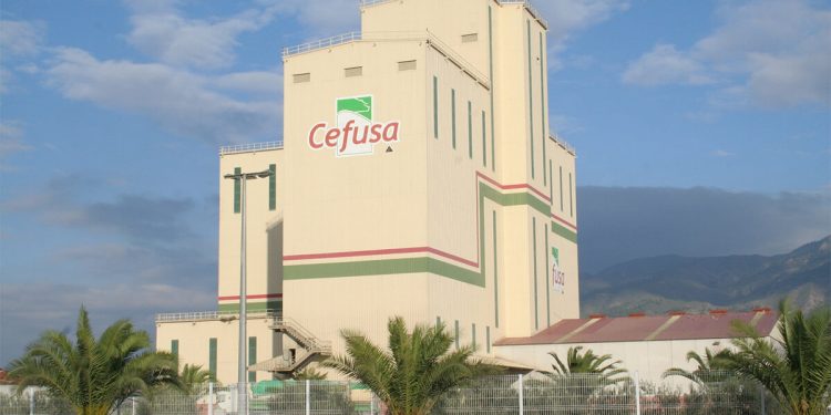 Cefusa