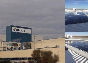 Cerealto-placas solares