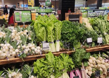 Carrefour-verdura de hoja