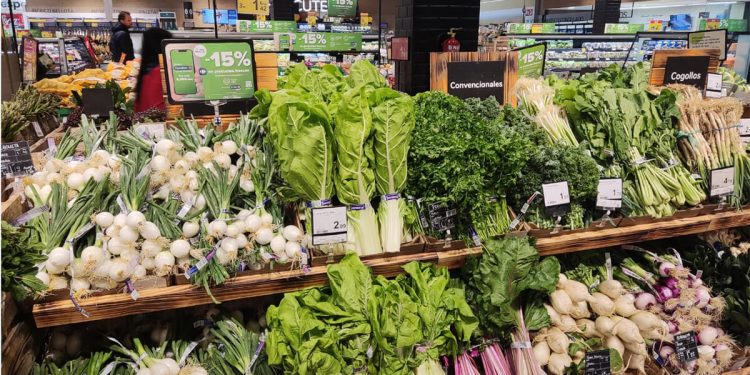 Carrefour-verdura de hoja