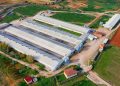 Granja huevos-Hevo Group