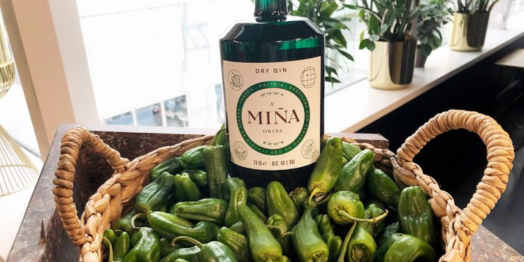 Miña de Pernod Ricard