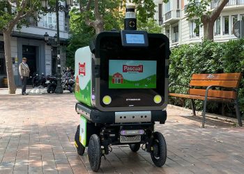 Pascual-Goggo-robot autonomo