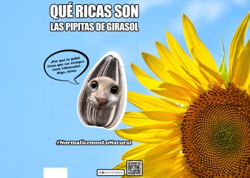 Pipas USA_Campaña