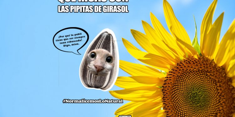 Pipas USA_Campaña