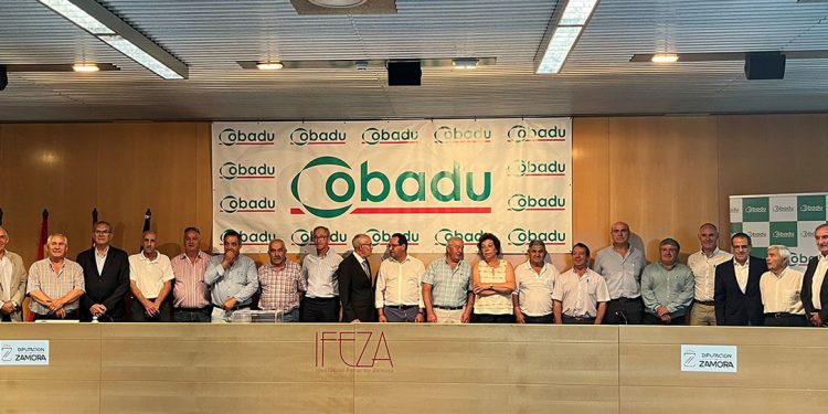 Cobadu-Asamblea General