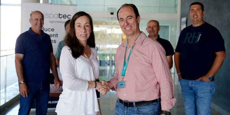 Freson de Palos-Hispatec