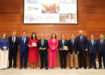 Grupo MAS-Memoria Sostenibilidad