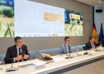 Presentacion Informe cerveza