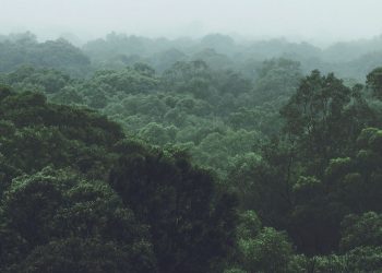 Tetra Pak_Informe Sostenibilidad 2022