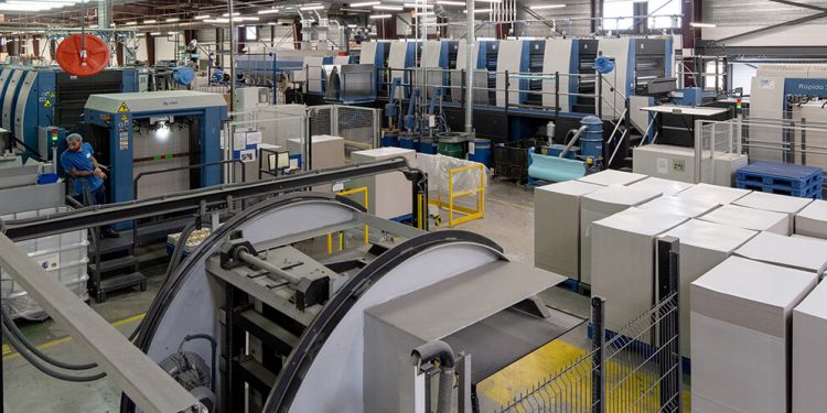 ASV Packaging - Hinojosa