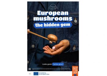 Campaña Europa hongos