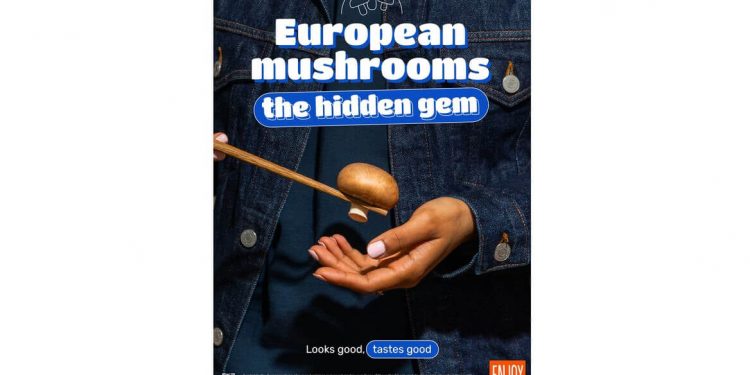 Campaña Europa hongos