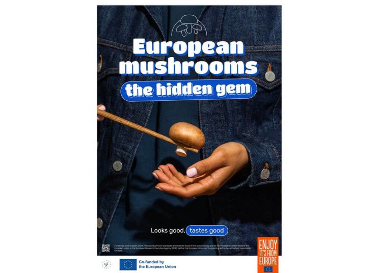 Campaña Europa hongos