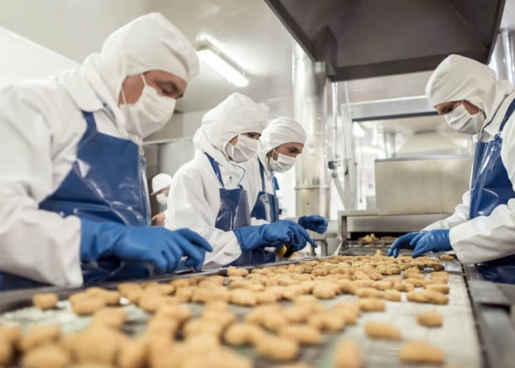 línea de producción