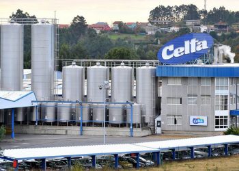 Pontedeume Leche Celta