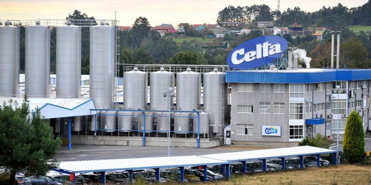Pontedeume Leche Celta