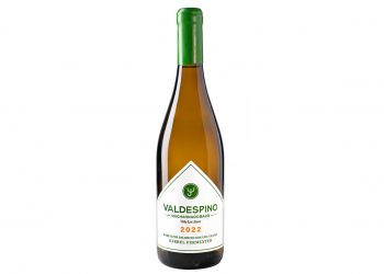 Valdespino Viña Los Arcos Ecologico
