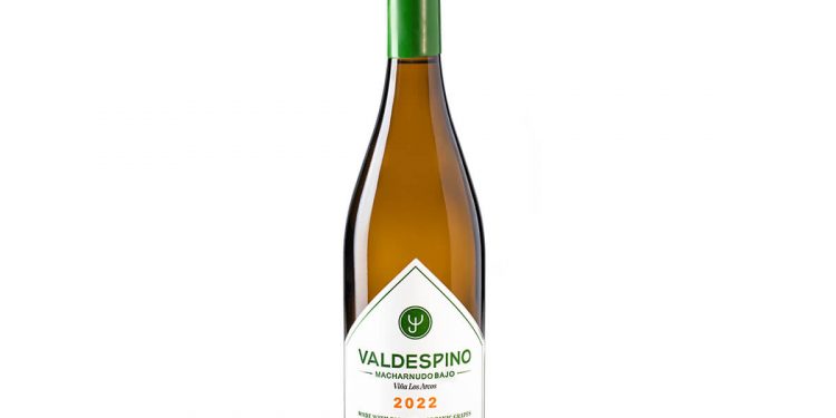 Valdespino Viña Los Arcos Ecologico