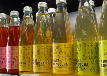 Víver Kombucha