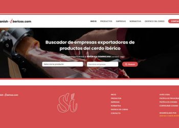 nueva web