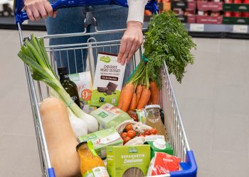 Aldi-Productos ecologicos