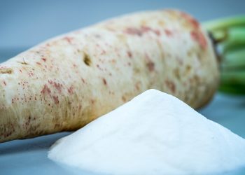 Beneo-raiz de achicoria