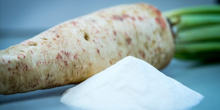 Beneo-raiz de achicoria