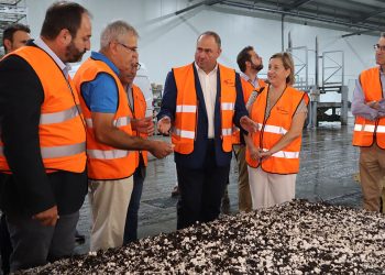 Castilla-La Mancha-champiñones