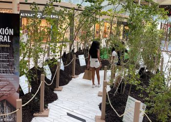 Centro comercial Valle Real