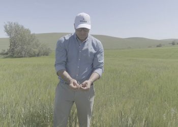 Heineken España y Fertiberia revolucionan la agricultura sostenible con fertilizantes eco-amigables