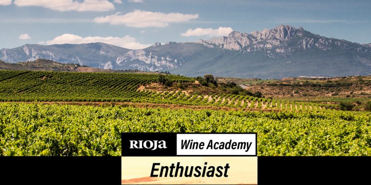 Rioja Wine Academy