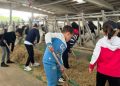 Visita niños Granjas Feiraco