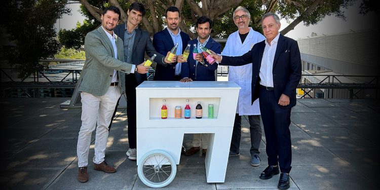 AMC Natural-Viver kombucha