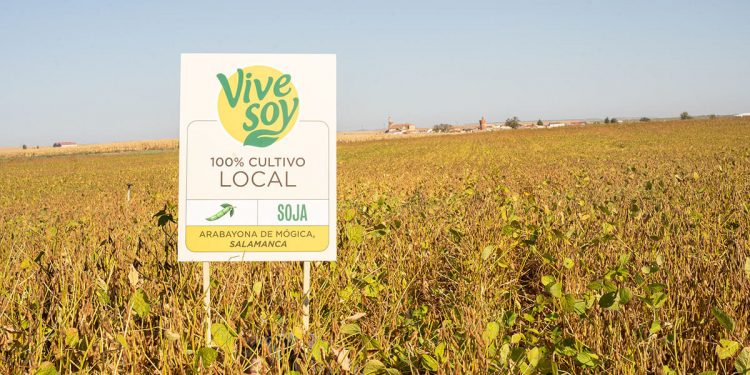 Vivesoy-Pascual