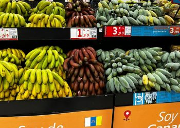 platano azul Alcampo