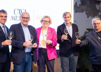 Cava Meeting_Comite Asesor