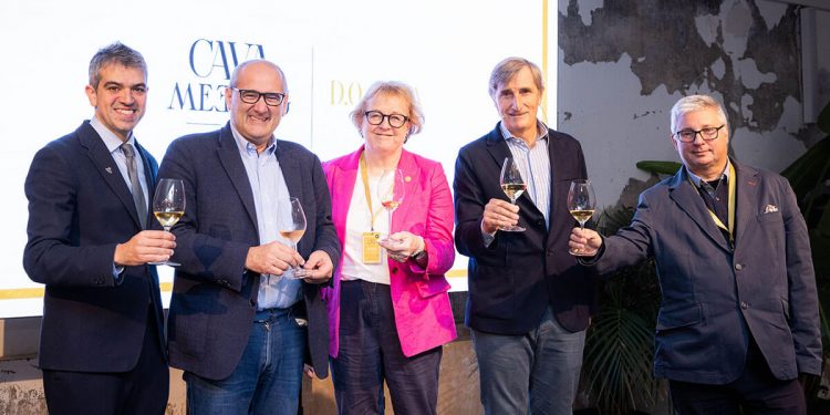 Cava Meeting_Comite Asesor