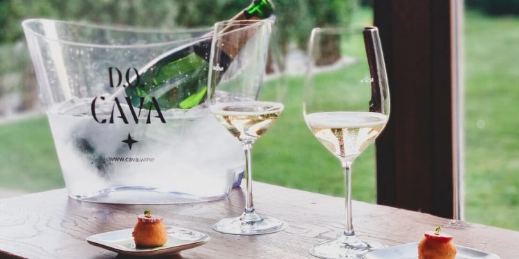 D.O. CAVA y Paradores de España