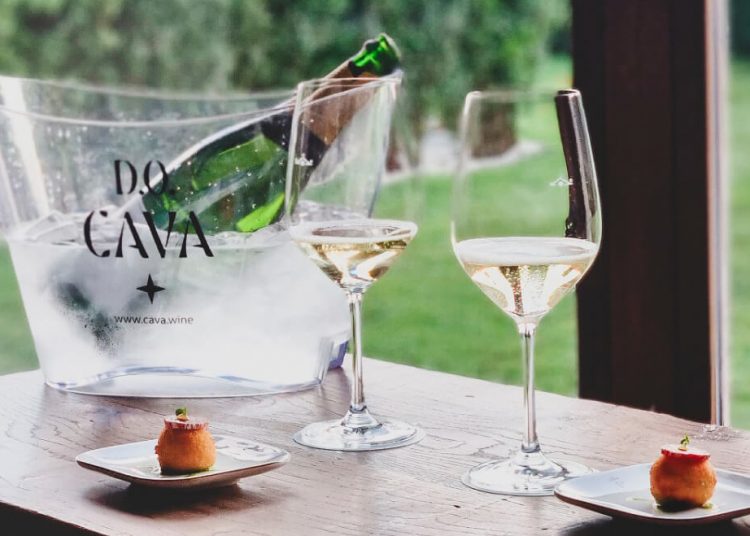 D.O. CAVA y Paradores de España