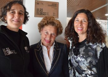 Geoparque-beca Gullon