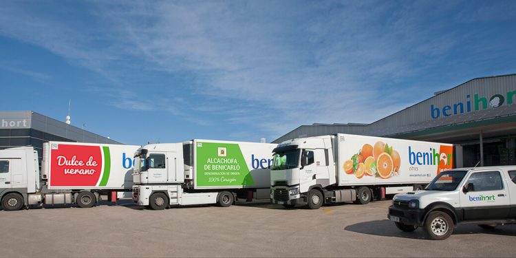 Transportes Benihort