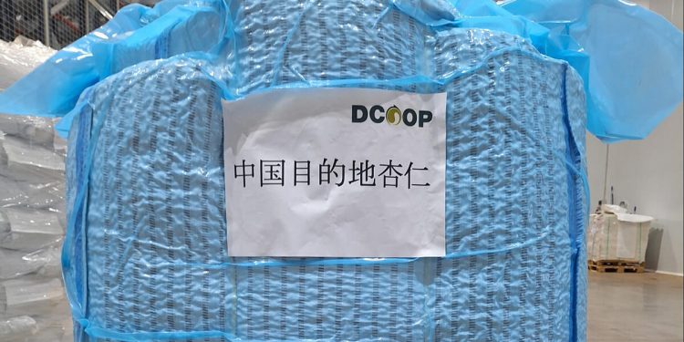 Dcoop