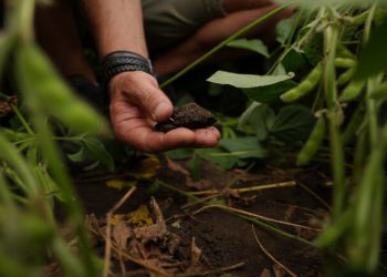 Garden Gourmet encabeza la evolución hacia una agricultura renovable