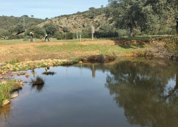 Nestle-medioambiente