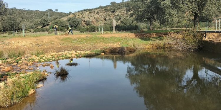 Nestle-medioambiente